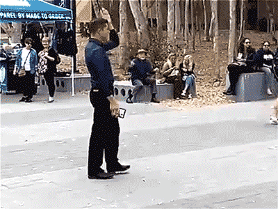preacher campus GIF