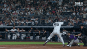 Home Run Sport GIF by MLB