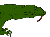 Komodo Dragon Lizard Sticker