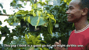 tyleroakley flower youtube house plant GIF