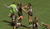 Goalcelebration GIF by National Women's Soccer League