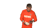 Excited Timo Horn Sticker by Bundesliga