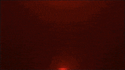 Drink Up Happy Hour GIF by Yolo Rum