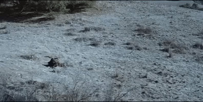 music video guy GIF by Lady Gaga