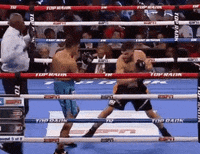 toprank fight boxing fighting espn GIF