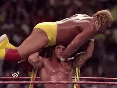 Hulk Hogan Sport GIF by WWE