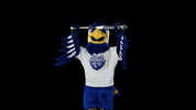 Nigel Nighthawks GIF by University of North Georgia