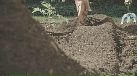 Mountain Bike Animation GIF by Santa Cruz Bicycles