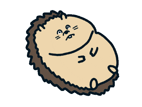 Hedgehog Sticker