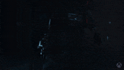 Star Wars Bungie GIF by Xbox