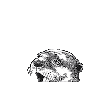 Jimbobart food illustration animal mouth Sticker