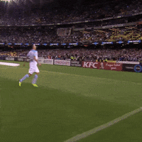 Australian Football GIF by Hyundai A-League