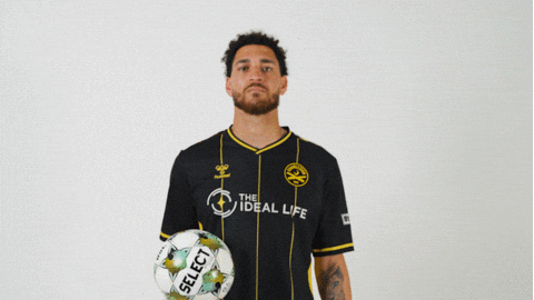 Usl Championship Soccer GIF by Charleston Battery