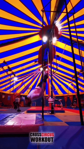leclownbresilien circus cirque milho baunilha le clown bresilien GIF