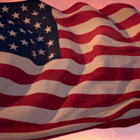 Usa Love GIF by Independent National Convention 2024