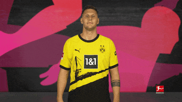Borussia Dortmund Football GIF by Bundesliga