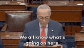 Chuck Schumer GIF by GIPHY News