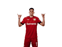 Bayer 04 Win Sticker by Bayer 04 Leverkusen
