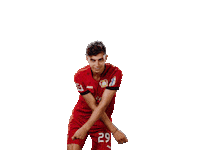 Bayer 04 Werkself Sticker by Bayer 04 Leverkusen