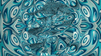 Transform 002