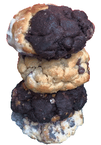 bigfatcookie sweet chocolate dessert cookie Sticker