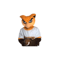 Ncaa Mascot Sticker by Rowan University