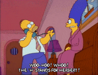 Season 2 GIF by The Simpsons