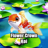 Koi Fish Photo GIF by TheConfishius