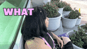 What Did I Do GIF