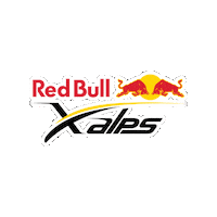 Red Bull Paragliding Sticker by manufactoryapparel