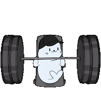 Work Out Fun Sticker by Sappy Seals Community