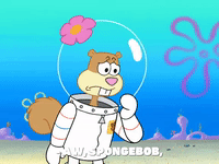 season 7 episode 20 GIF by SpongeBob SquarePants