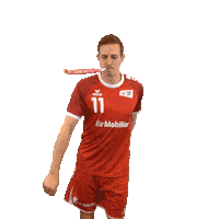 swisshandball_official happy fun party celebration Sticker