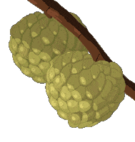 Mason London Animations Sticker by bobmarleyGIFs