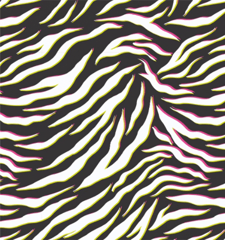 maille1234321 giphygifmaker GIF