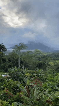 arnellelozada tropical environment landscape sunrise GIF