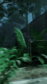 Horror Indonesia GIF by Wired Productions