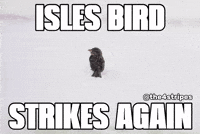 New York Islanders Hockey GIF
