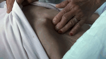 tingtinglu giphyupload GIF