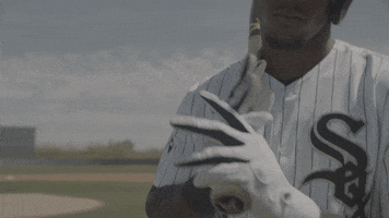 Major League Baseball GIF by MLB