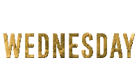 Wednesday Everywednesday Sticker by ViveMedGroup