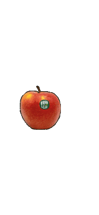 Apple Sticker