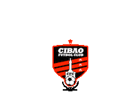 republica dominicana futbol Sticker by Cibao FC
