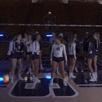 Usu GIF by USUAthletics