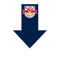 Goal Hockey Sticker by Red Bull Munich