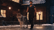 Bollywood Tarak GIF by Hrithik Roshan