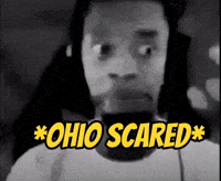 Ohio GIF