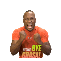 Celebrate Sticker by queimadiaria