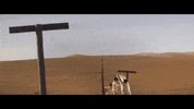 London Film Festival Bfi Lff GIF by Signature Entertainment