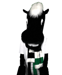 Bmg Fohlen Sticker by Borussia Mönchengladbach